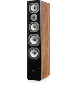 Dynavoice Challenger M-65 Natural Oak